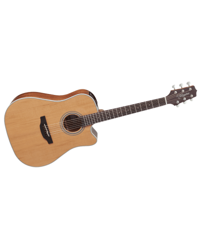 TAKAMINE GD20CENS