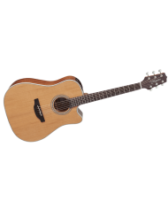 TAKAMINE GD20CENS