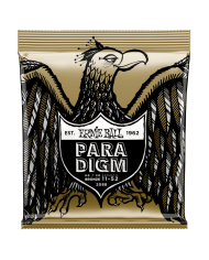ERNIE BALL P02021 - PARADIGM 80/20 EXTRA LIGHT BRONZE 10-50