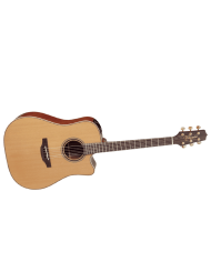 TAKAMINE P3DC