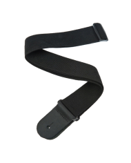 PLANET WAVES PWS100