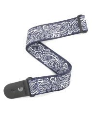 PLANET WAVES P20W1419