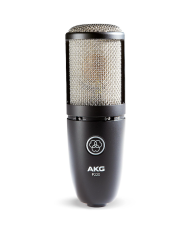 AKG P220