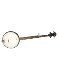 GOLD TONE AC-1