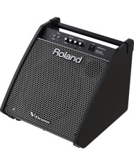 ROLAND PM-200