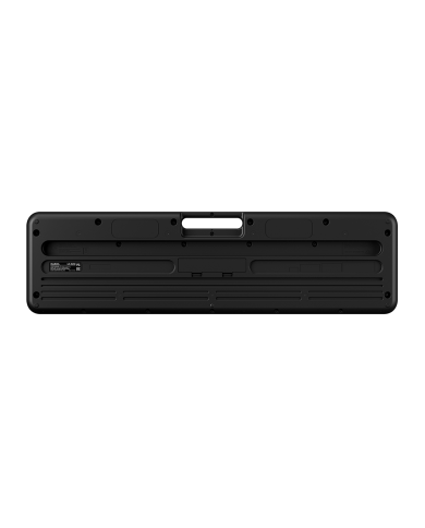 CASIO LK-S250