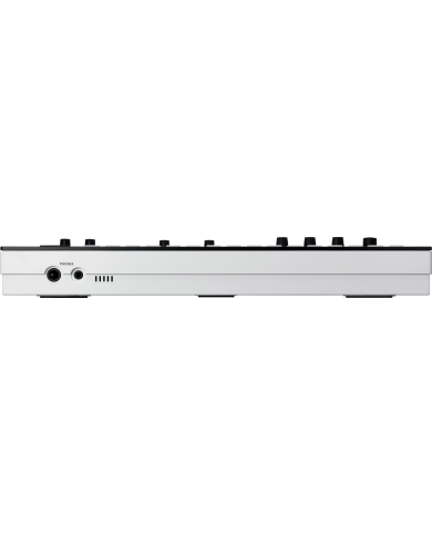ROLAND VERSELAB MV-1