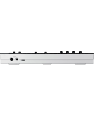 ROLAND VERSELAB MV-1