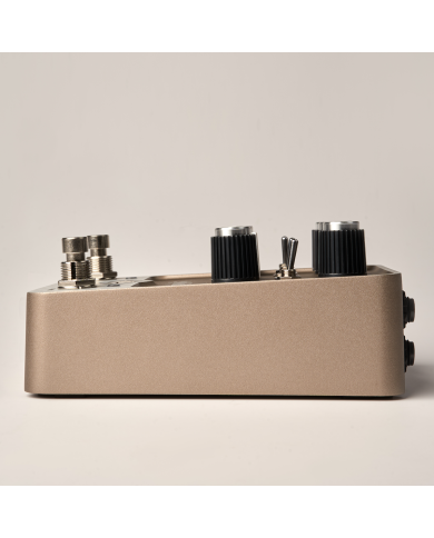 UNIVERSAL AUDIO UAFX GOLDEN REVERBERATOR