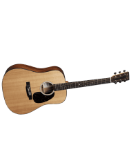 MARTIN D-10E
