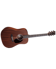 MARTIN D-10E