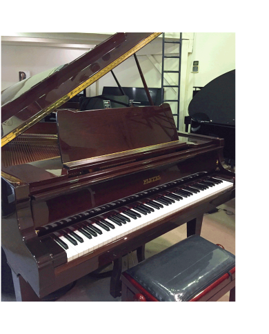 PIANO OCCASION 1/4 QUEUE PLEYEL VENDOME 174 BY SHIMMEL