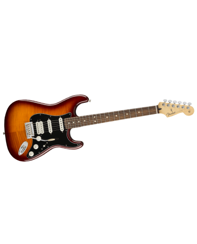 FENDER STRATOCASTER PLAYER PLUS TOP - MN ACB
