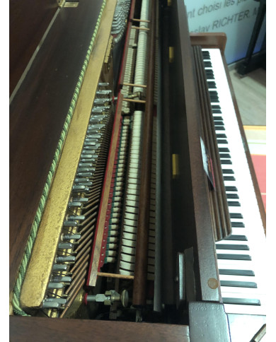 EUTERPE 114T