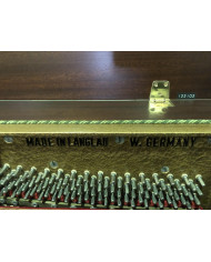 EUTERPE 114T