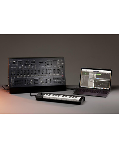 ARP 2600 M +