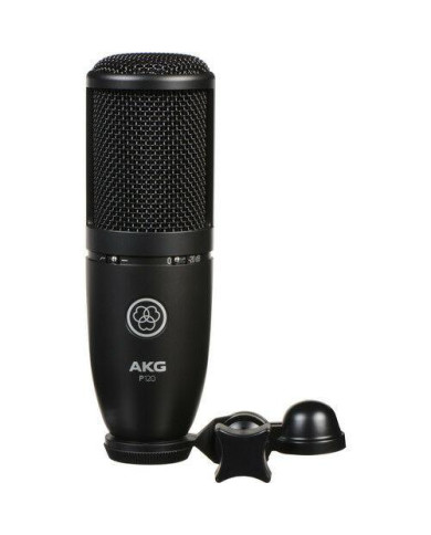 AKG P120