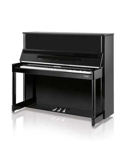 W.HOFFMANN P 126 (Professional)