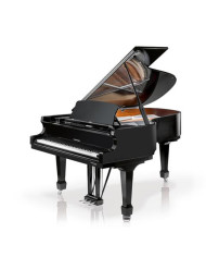W.HOFFMANN P 206 (Professional) - Noir Brillant