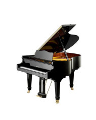 W.HOFFMANN V 175 (Vision) - Noir Brillant