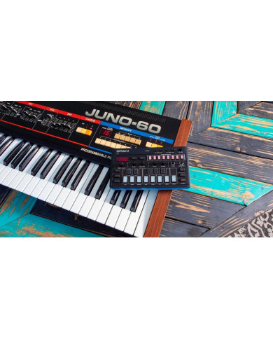 ROLAND J-6