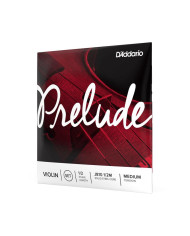D'ADDARIO J810 4/4M PRELUDE