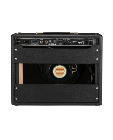 Fender Princeton Reverb AMP Tone Master