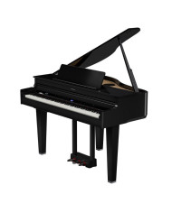 Roland GP-6