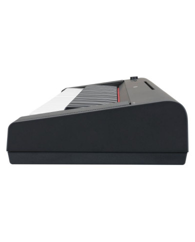 Yamaha - Piaggero NP35