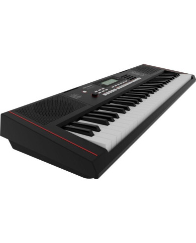 Roland - Clavier Arrangeur E-X10