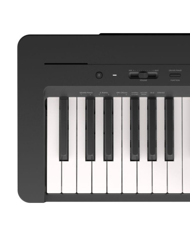 Yamaha - P145