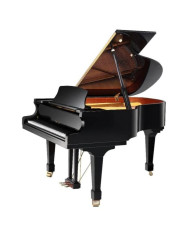 Zimmerman - Studio S160 - Noir Brillant