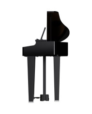Roland - Piano Numérique GP-3