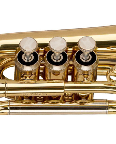 Stagg - Trompette de poche Or Levante TR4415