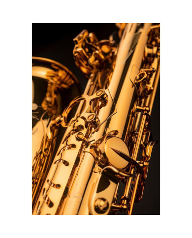 Selmer - Saxophone Alto Signature