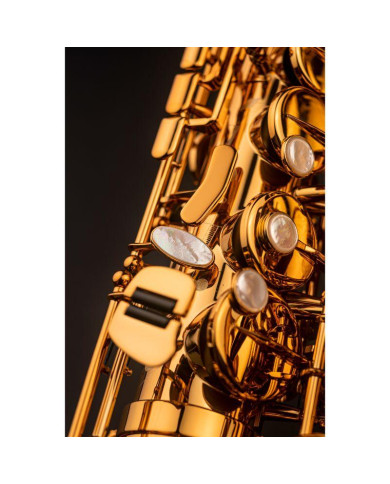 Selmer - Saxophone Alto Signature