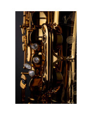 Selmer - Saxophone Tenor Signature