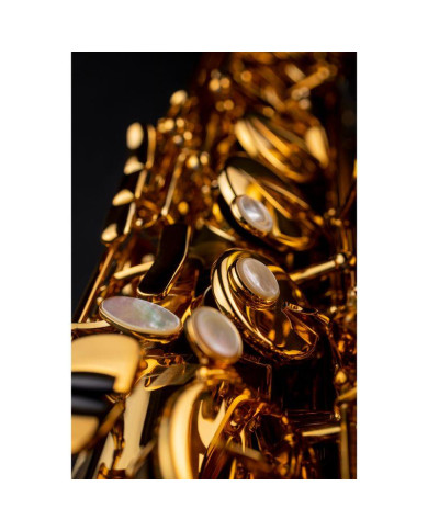 Selmer - Saxophone Tenor Signature