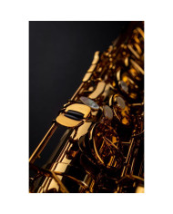 Selmer - Saxophone Tenor Signature