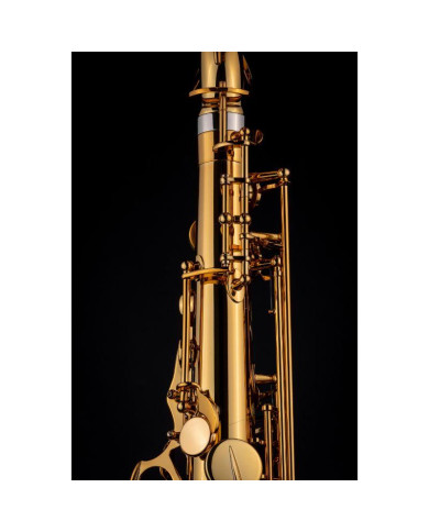 Selmer - Saxophone Tenor Signature