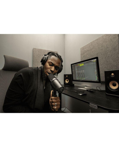 Shure - Micro Dynamique SM7dB