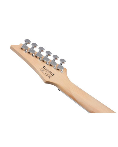 Ibanez - Guitare Electrique GRG170 DXSV