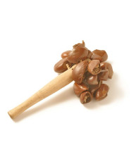 Yoman - Djudju - De Cola - Manche