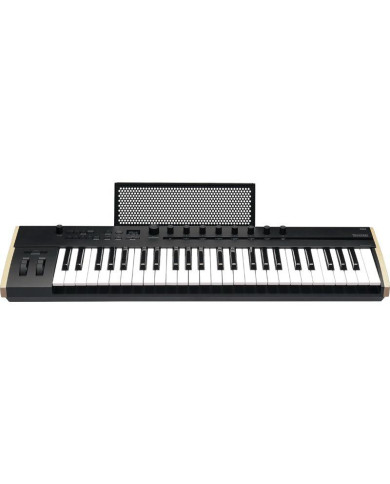Korg - Clavier Maître Keystage 49 touches