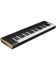 Korg - Clavier Maître Keystage 49 touches