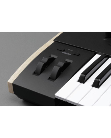 Korg - Clavier Maître Keystage 61 touches