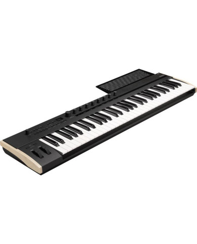 Korg - Clavier Maître Keystage 61 touches