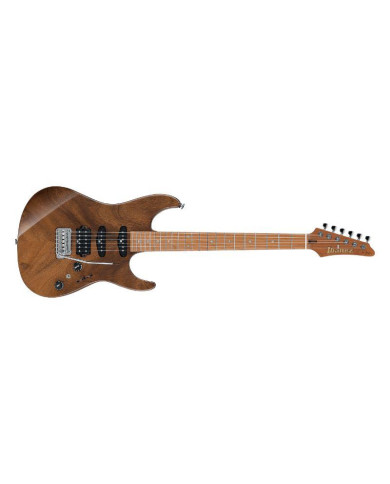 Ibanez - Guitare Electrique Signature TQM1-NT