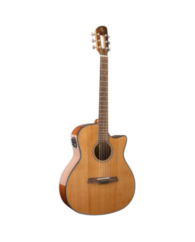 Prodipe - Guitare Acoustique SGA200