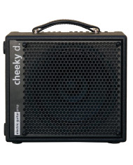 AER - Ampli guitare electrique Cheeky D.12